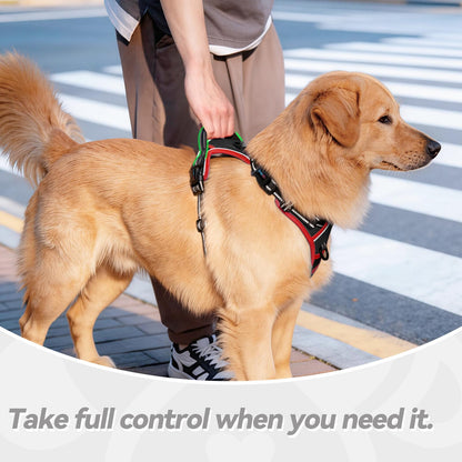 SecureFit Dog Harness