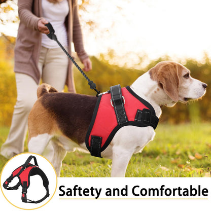 ReflectFit Harness