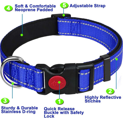 ComfortGlow Dog Collar