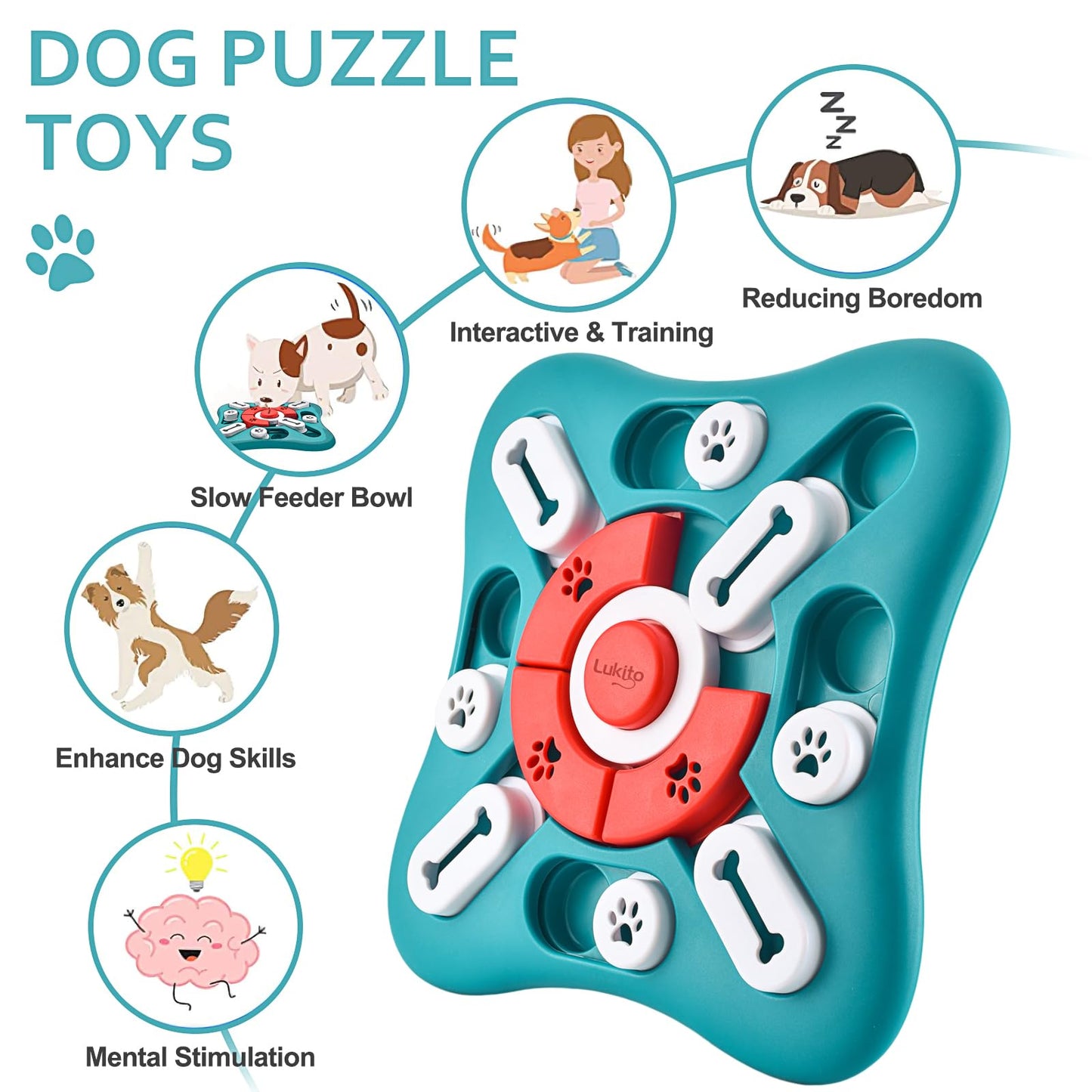 BrainBoost Puzzle Toy
