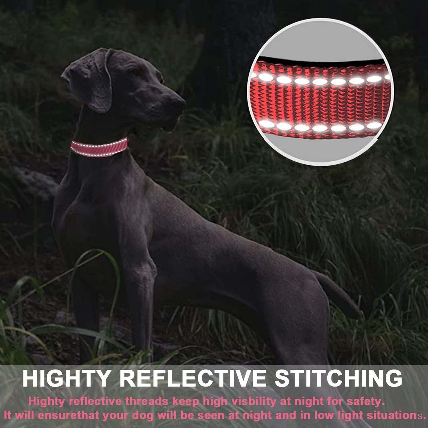 ComfortGlow Dog Collar
