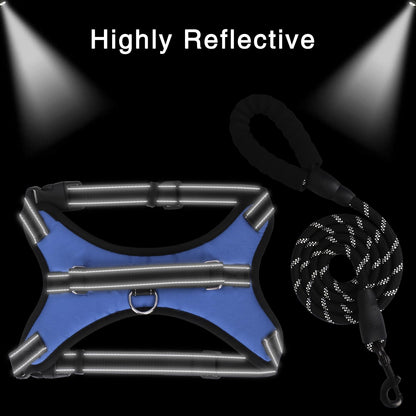 ReflectFit Harness