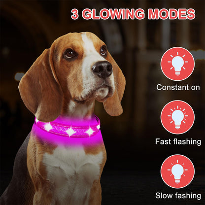 ComfortGlow Dog Collar