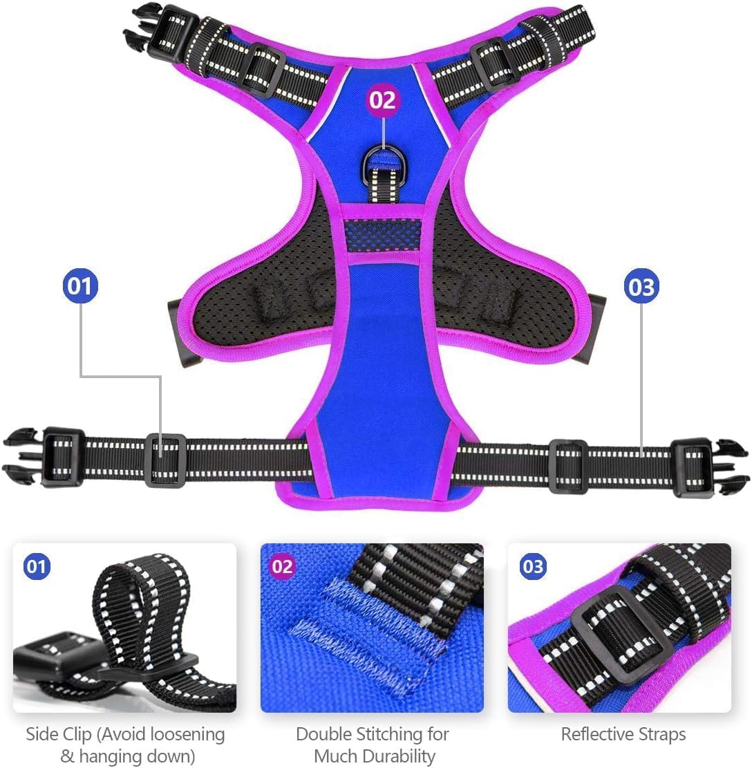 SecureFit Dog Harness