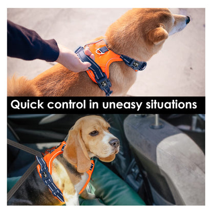 SecureFit Dog Harness