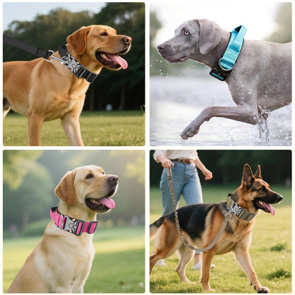 Guardian Tactical Collar