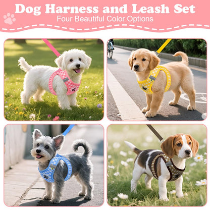 EasyWalk Pro Harness