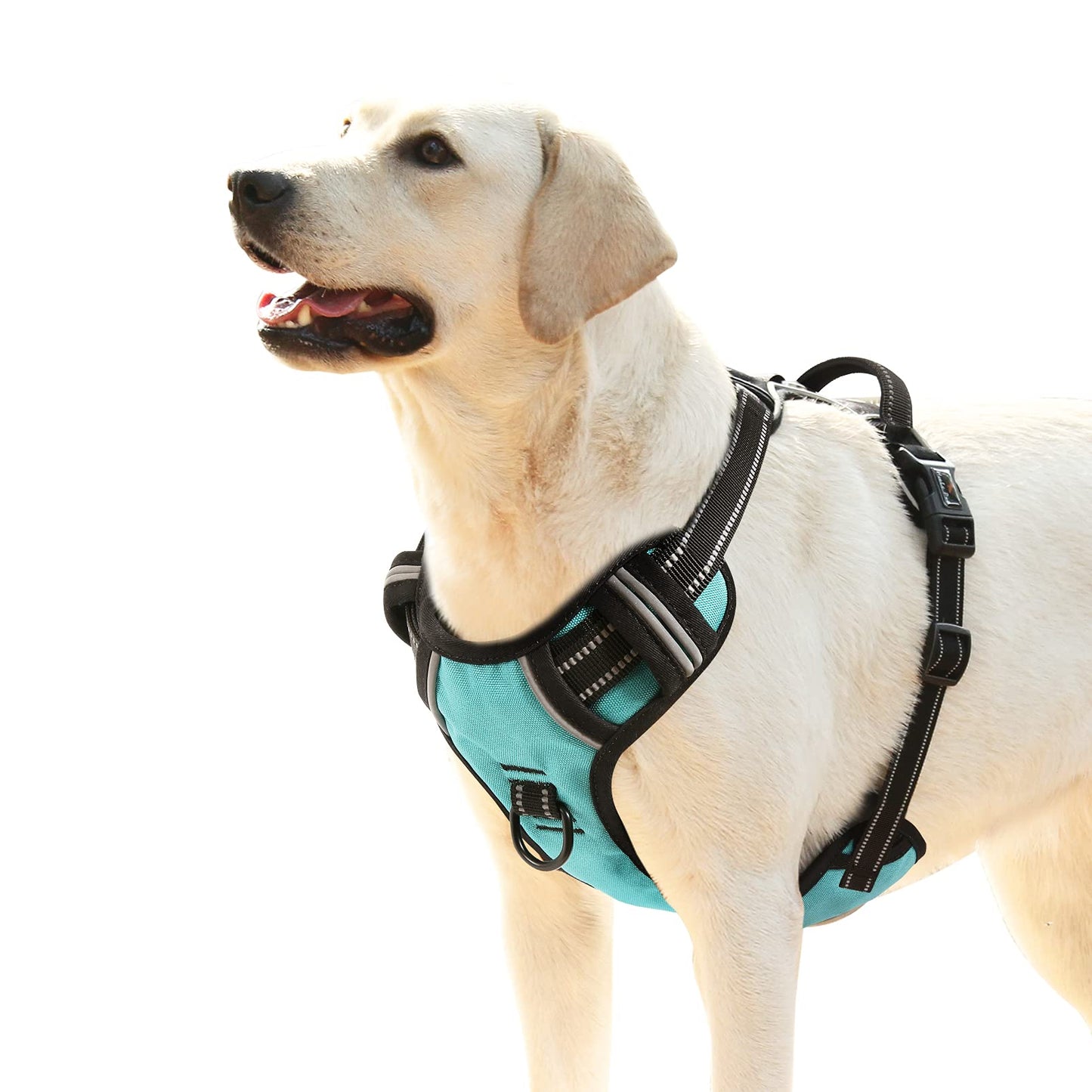 GuardianPro Dog Harness