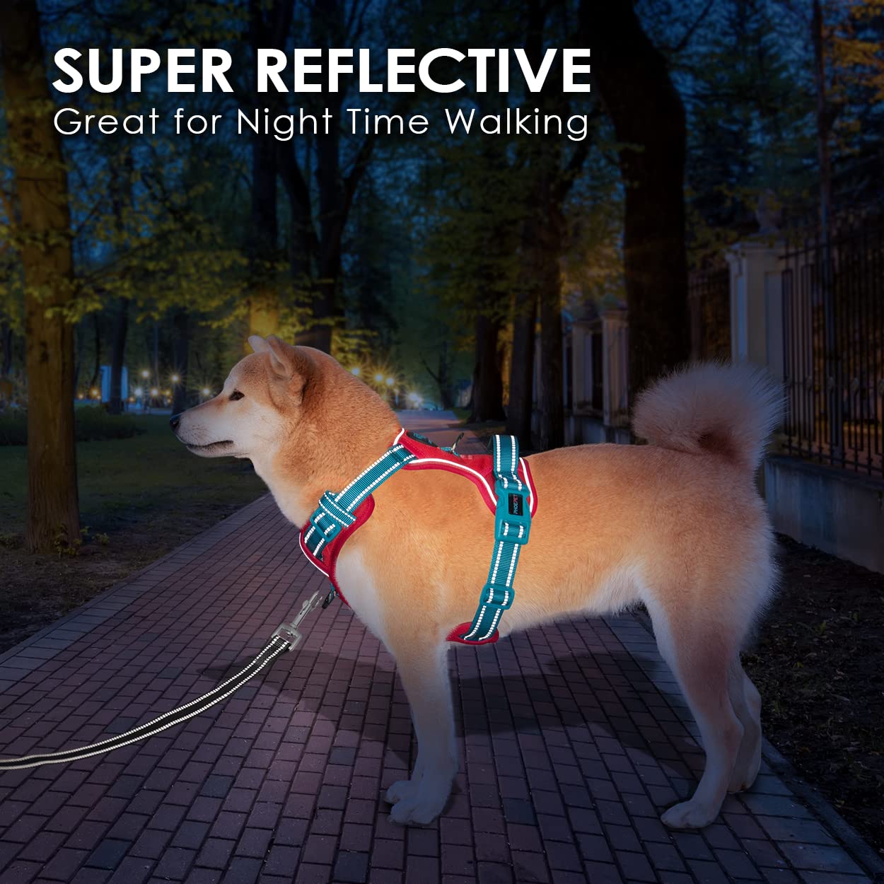 SecureFit Dog Harness