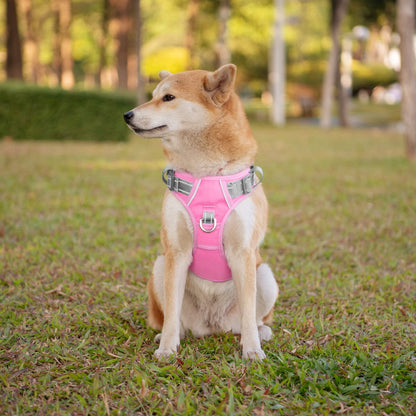 SecureFit Dog Harness
