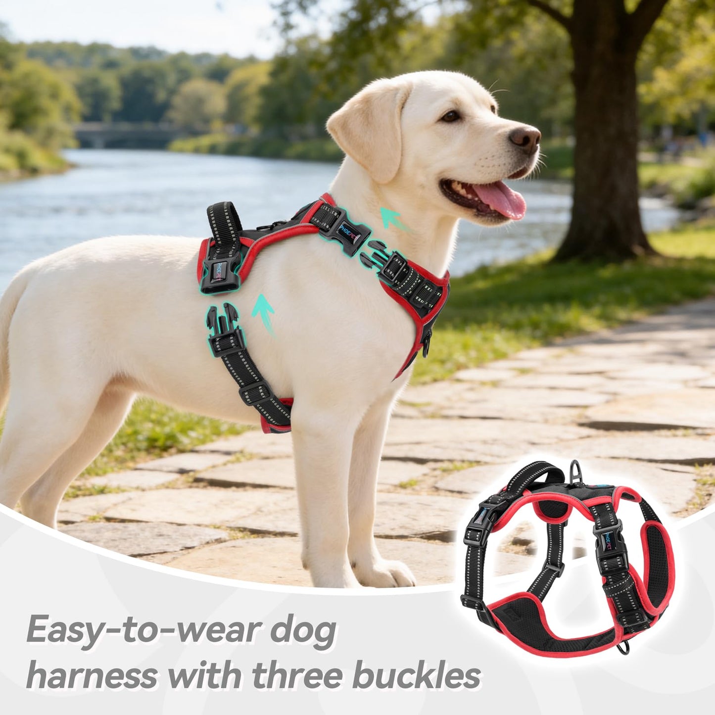 SecureFit Dog Harness