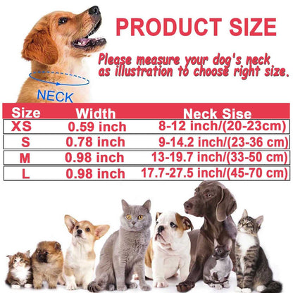 ComfortGlow Dog Collar