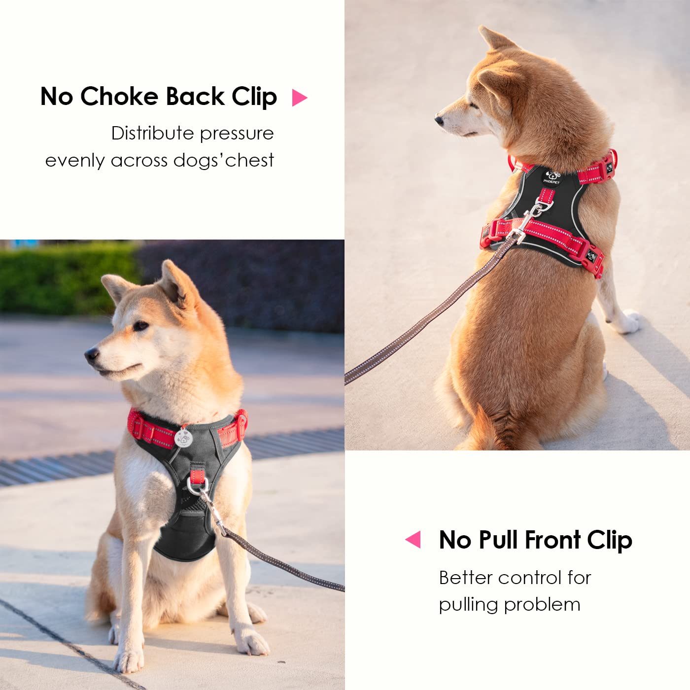 SecureFit Dog Harness