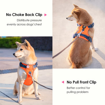 SecureFit Dog Harness