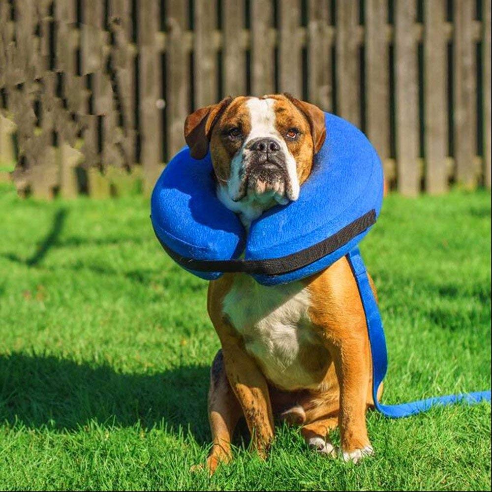 CloudComfort Recovery Collar
