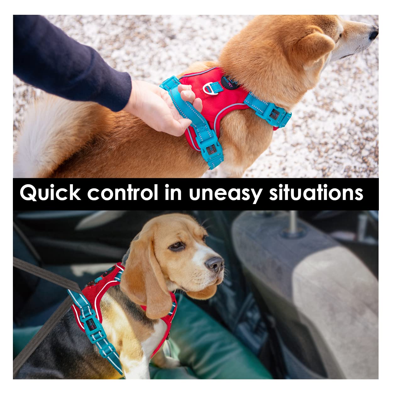 SecureFit Dog Harness