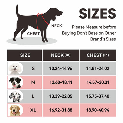 SecureFit Dog Harness