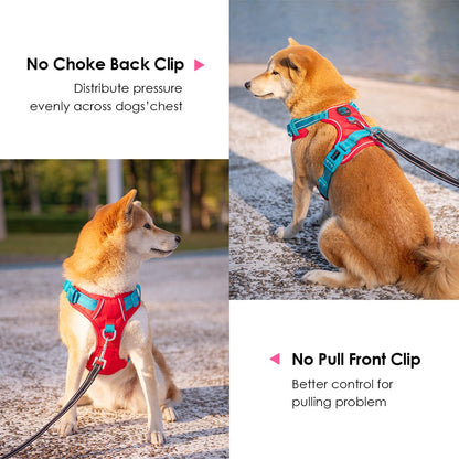 SecureFit Dog Harness
