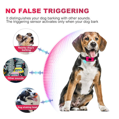 QuietPaw Training Collar