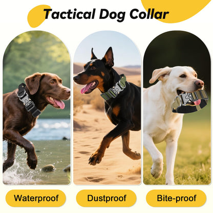 Guardian Tactical Collar