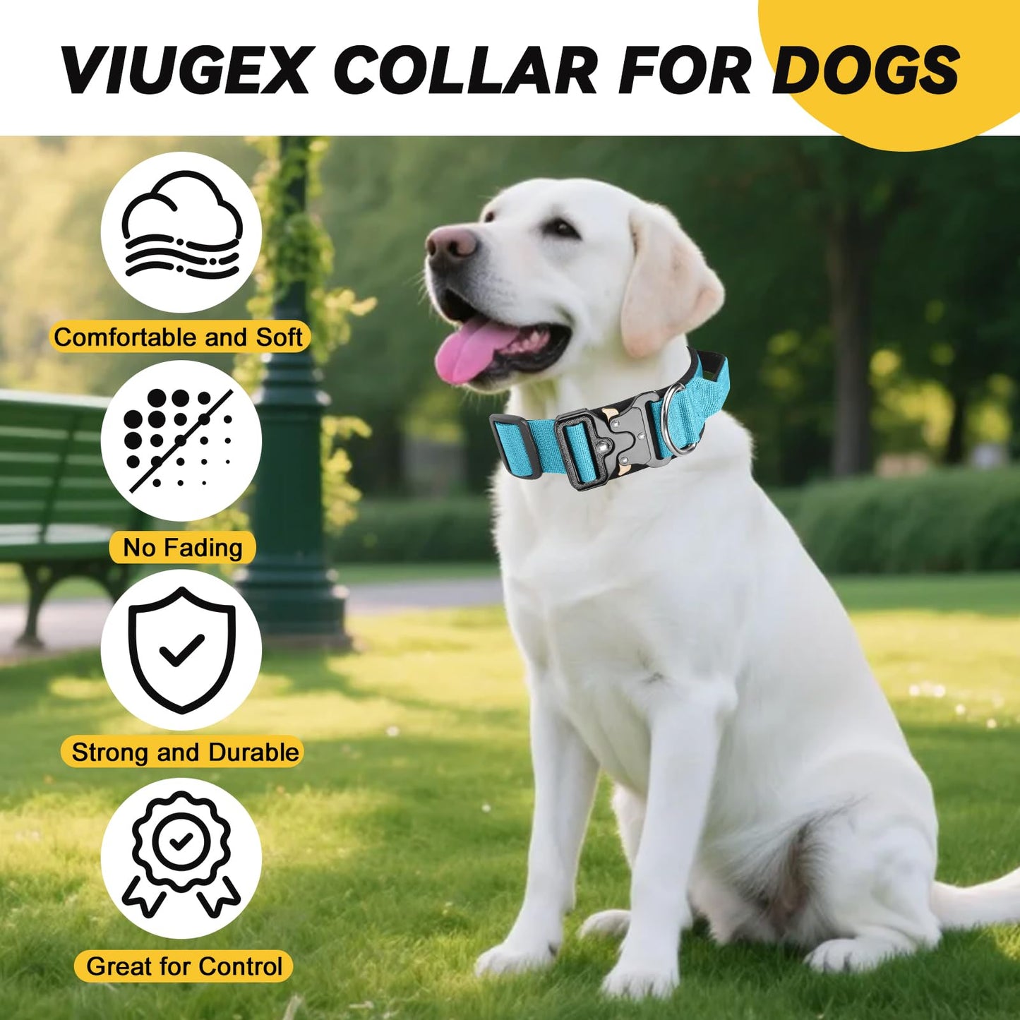 Guardian Tactical Collar