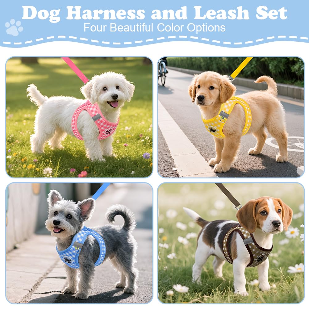EasyWalk Pro Harness