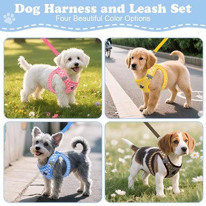 EasyWalk Pro Harness