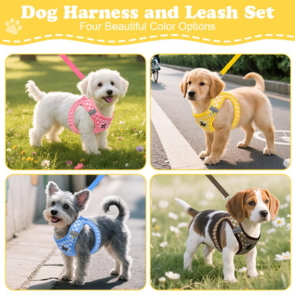 EasyWalk Pro Harness