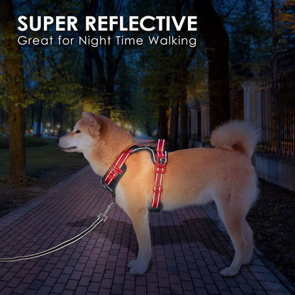 SecureFit Dog Harness