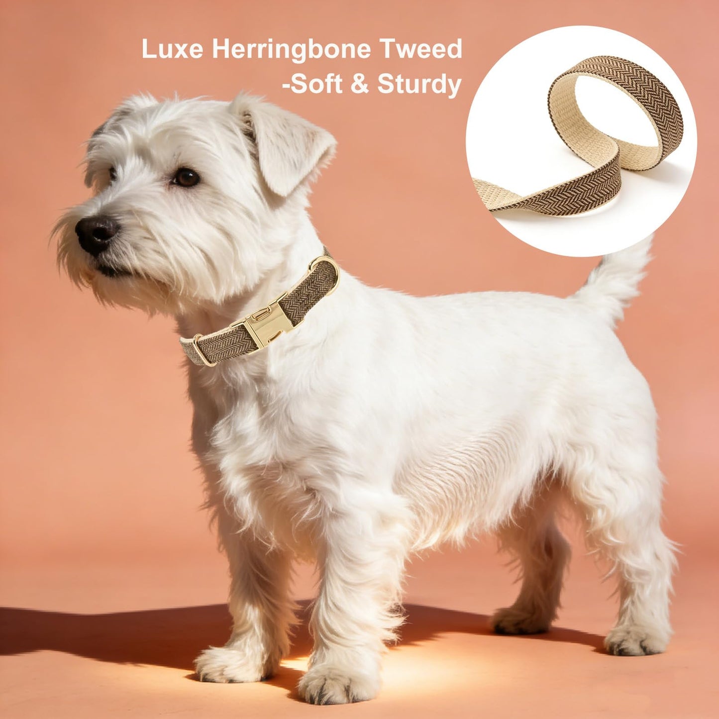 Heritage Tweed Collar