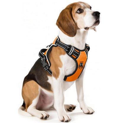 GuardianPro Dog Harness