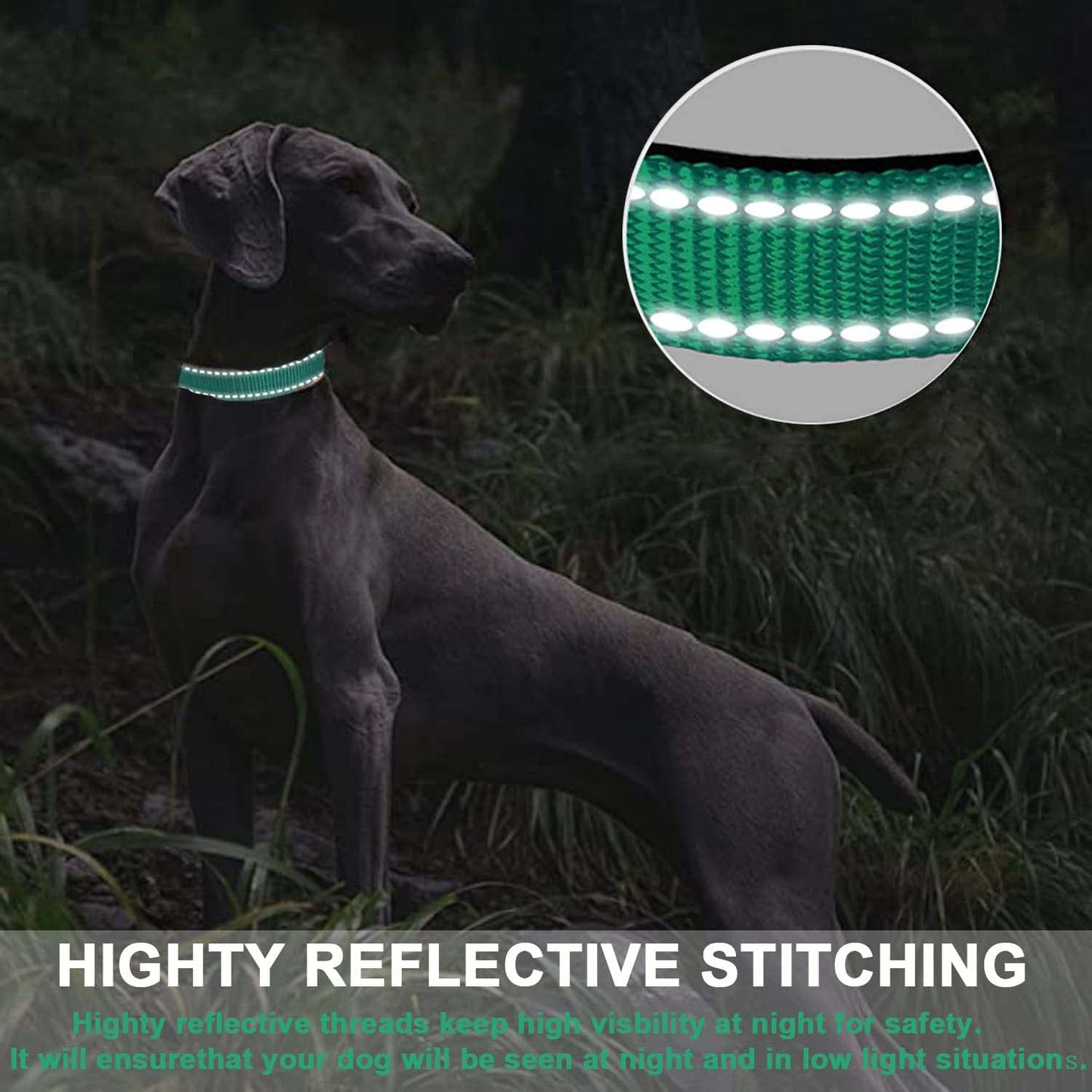 ComfortGlow Dog Collar