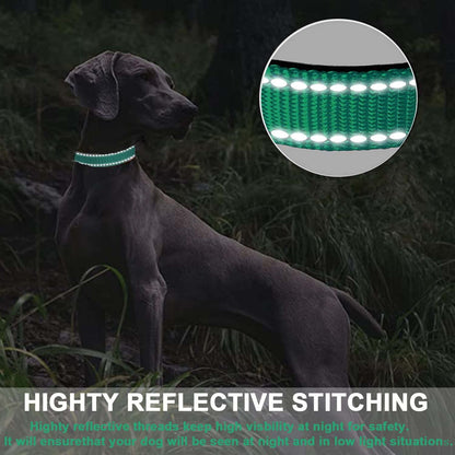 ComfortGlow Dog Collar