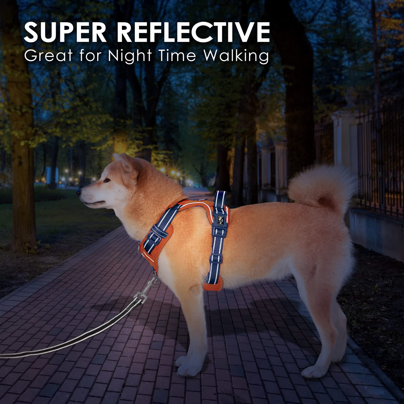 SecureFit Dog Harness