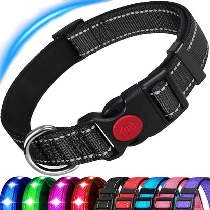 ComfortGlow Dog Collar