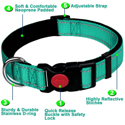 ComfortGlow Dog Collar
