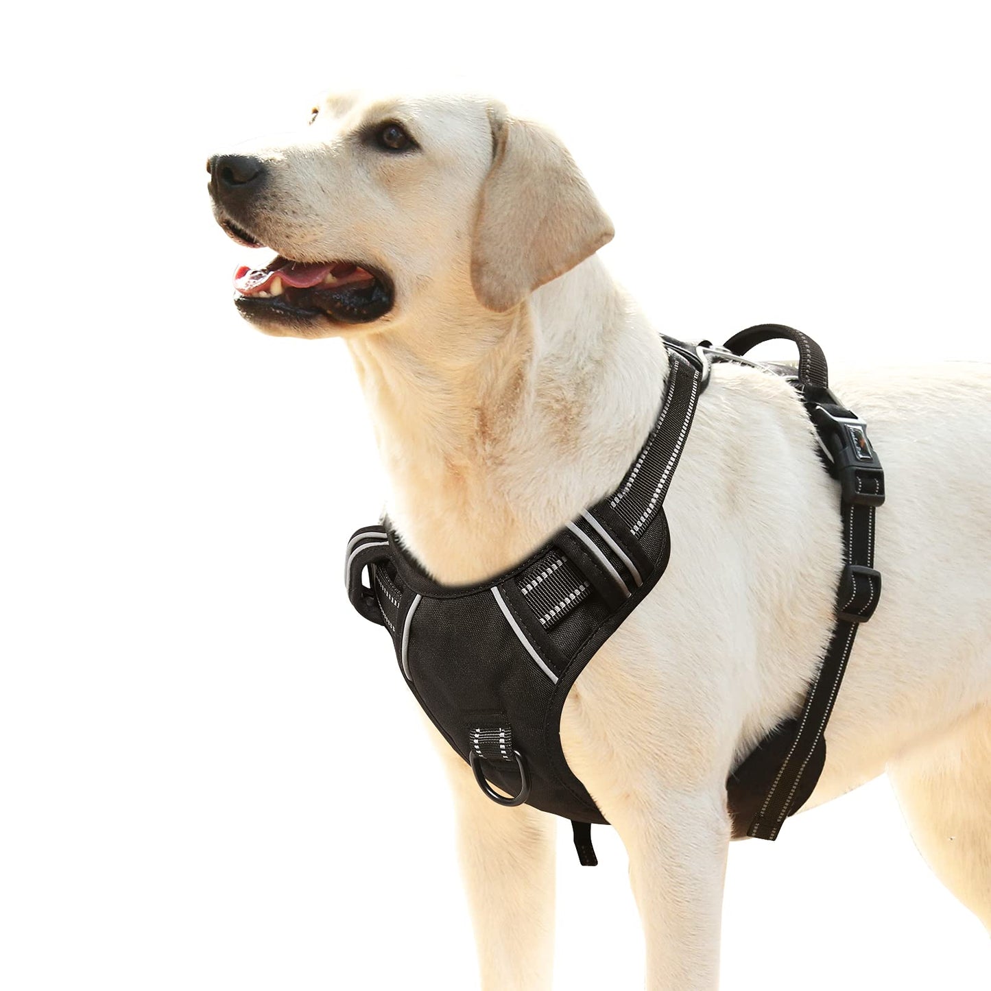 GuardianPro Dog Harness