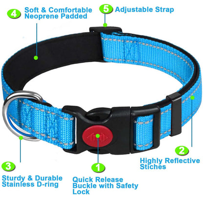 ComfortGlow Dog Collar