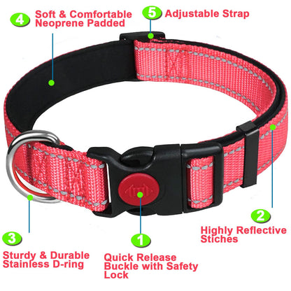 ComfortGlow Dog Collar
