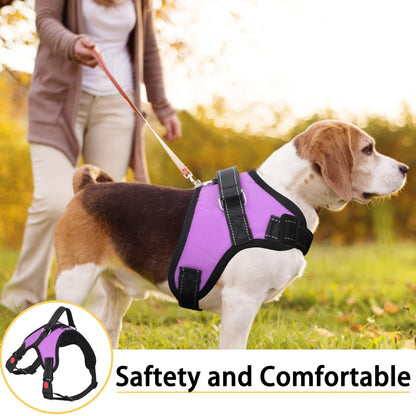 ReflectFit Harness