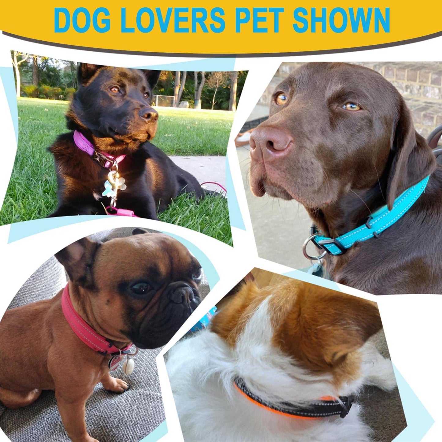 ComfortGlow Dog Collar