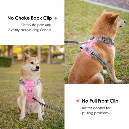 SecureFit Dog Harness