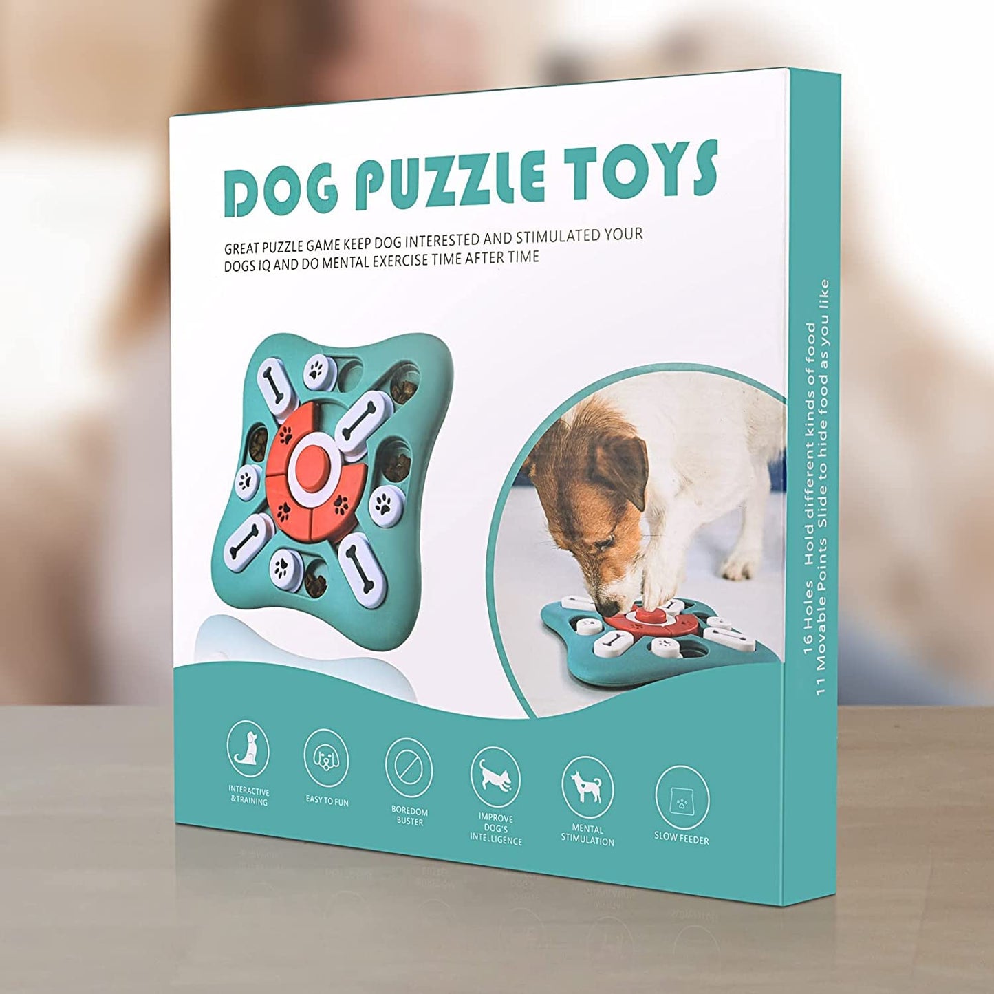 BrainBoost Puzzle Toy