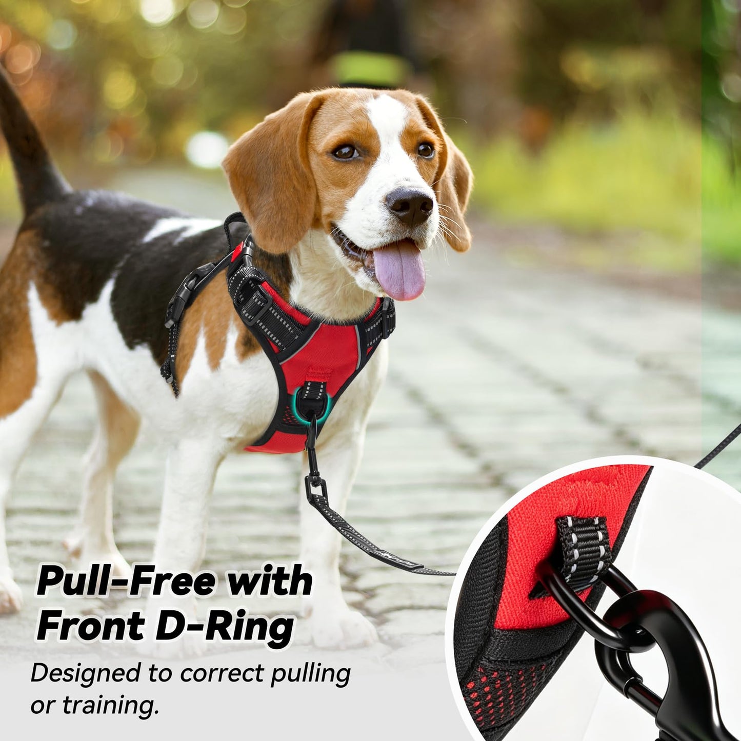 AdventureFit Dog Harness