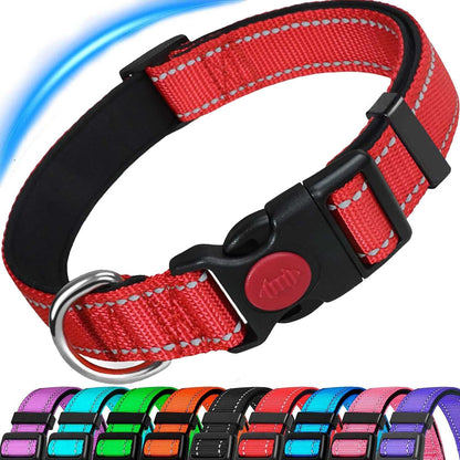 ComfortGlow Dog Collar