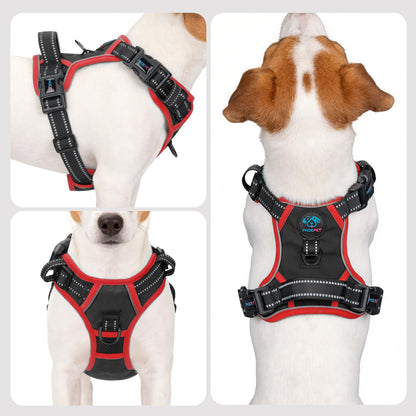 SecureFit Dog Harness