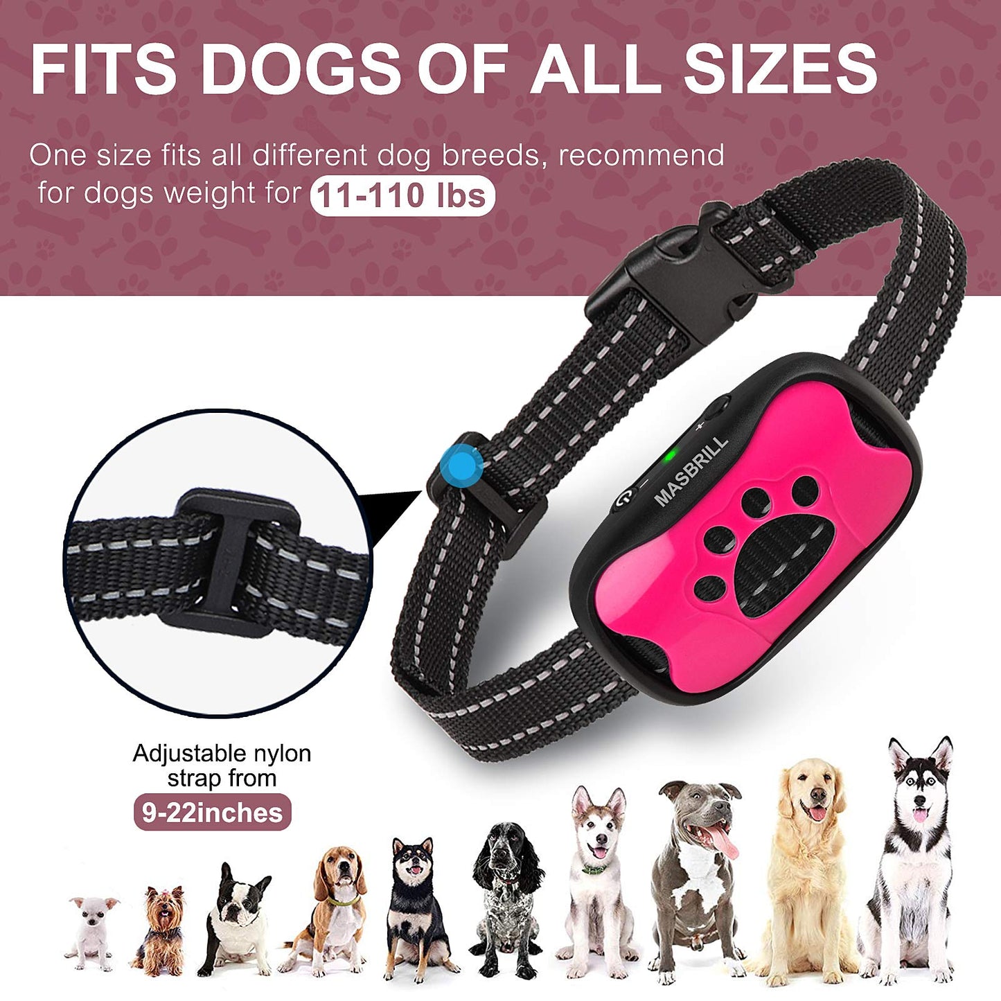 QuietPaw Training Collar
