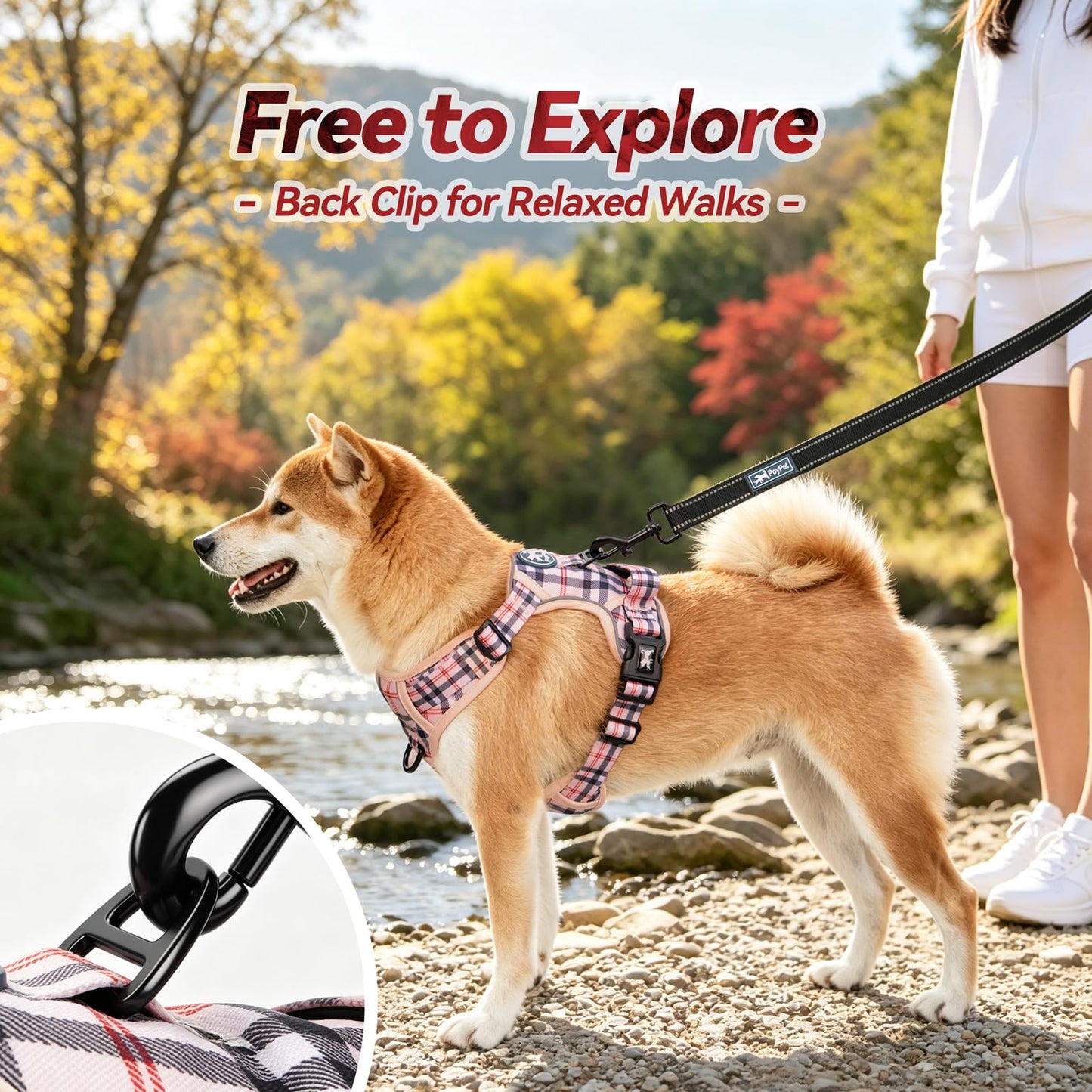 AdventureFit Dog Harness