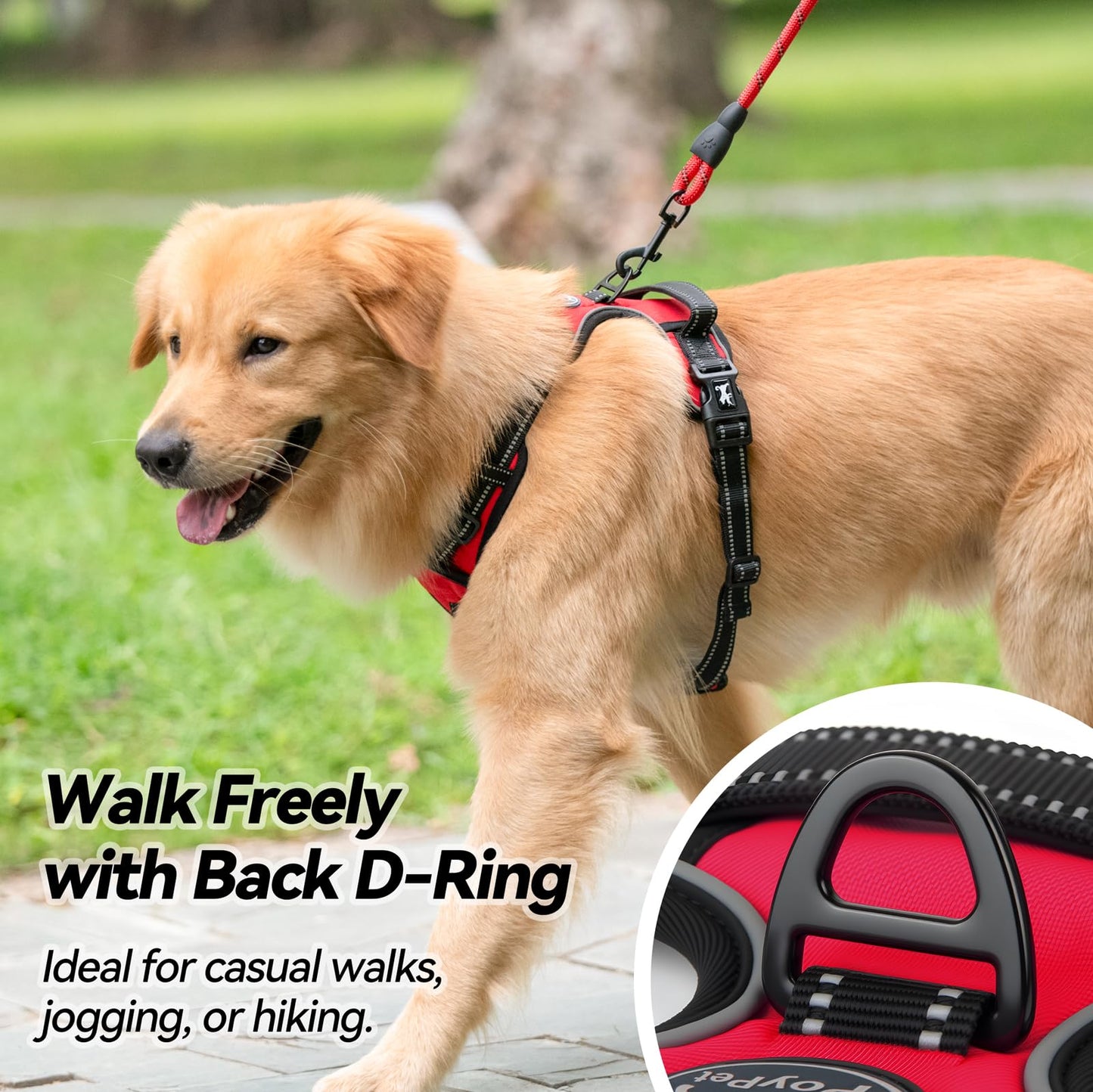 AdventureFit Dog Harness