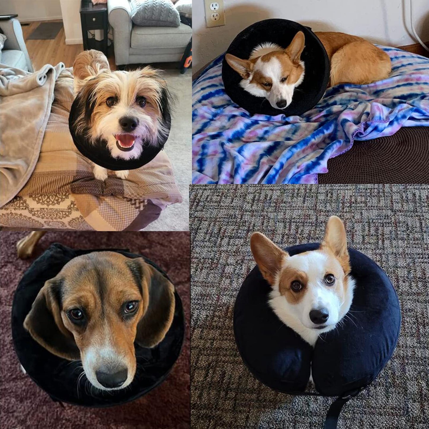 CloudComfort Recovery Collar